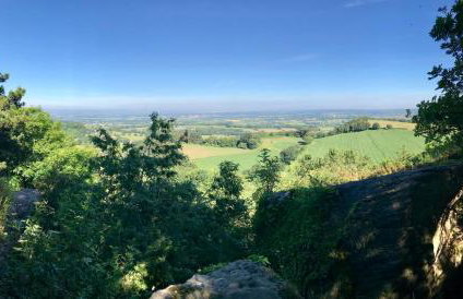 Pheasant Cottage - Foto 28