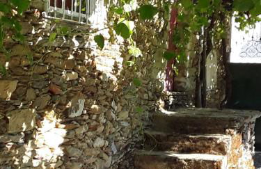 Casa Castedo do Douro - Foto 65