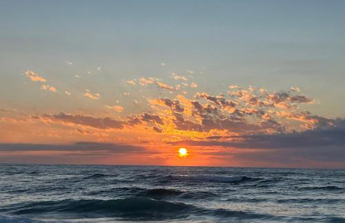 L'océan des Landes - La Dune - Photo 29