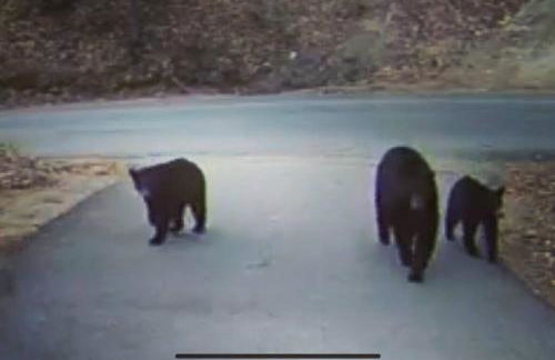 Couples Getaway Log Cabin in the White Mountains - Foto 25