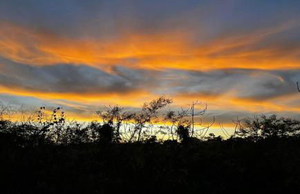 Quinta dos Samaniego - Chalés Rústicos e Suítes - Foto 14