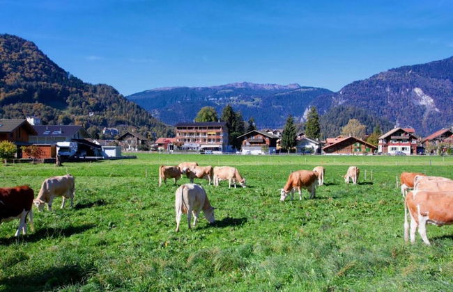 Pristine Home in a Charming Village, Large Grassy Sunbathing Area, View of the Mönch and Jungfrau - Foto 18