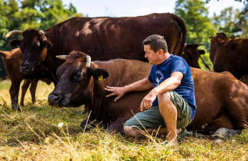 Żywkowo Bocianie Gospodarstwo Rolne - Foto 30