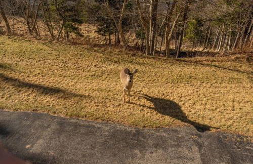 Cozy Condo at Summit - Foto 48