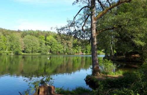 Chalet Wickie - Foto 26