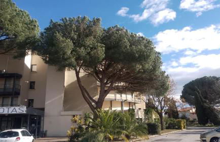 ANTIQUA ROMA - via temporis CXII - Foto 12