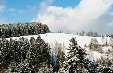 FeWo - Bergblick - Foto 31