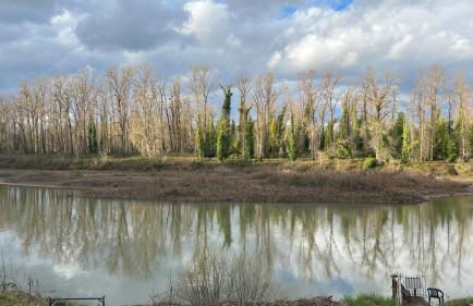 Blue Heron Sanctuary & Serene, river-front cottage - Foto 61