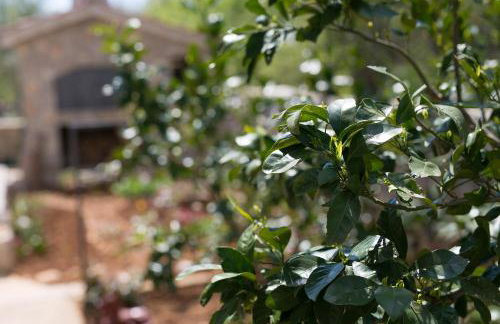 Apartmani Željka - Foto 52