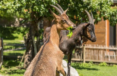 Ferienhaus Am Sedelbach - Foto 20