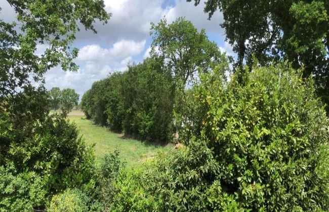 Holiday Park Escape in Drenthe - Photo 18