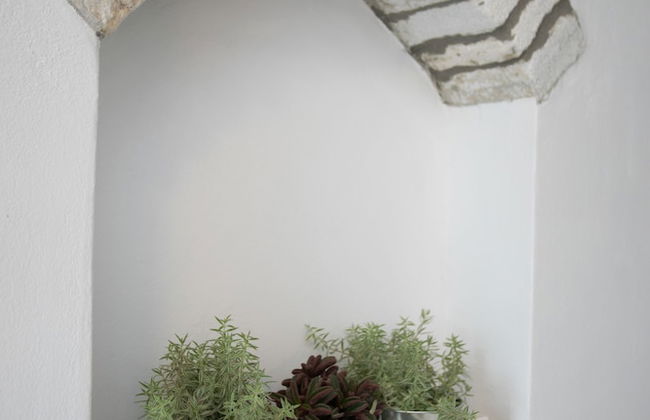 Traditional Inn Pirethron - Foto 29