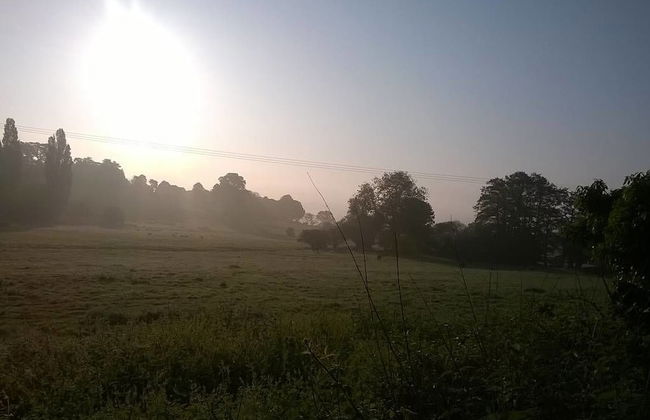 Saurden Guest Apartment - Foto 8