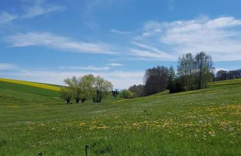 Ferienhaus Polly - Keine Monteure - Foto 25
