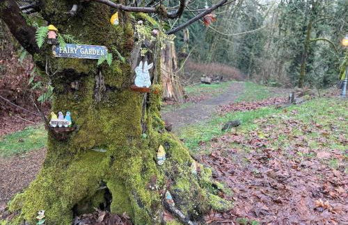 Enchanted Hollow- Cozy, Romantic Woodland Getaway - Photo 11