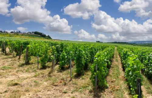 AppartStudio « You & Me in Champagne » - Foto 19