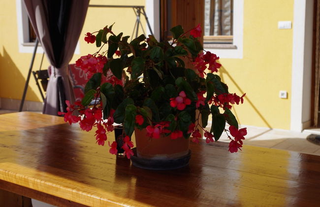 Detached House at Country Side, Fenced Private Garden Ideal for 2 Fam, Wifi - Photo 34