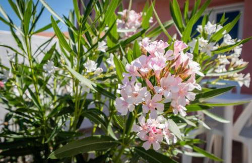 10min Da Bosa Marina - Con Giardino e Parcheggio - Foto 54