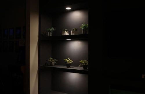 Whole House In Northampton - Photo 27