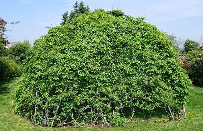 Alte Kaeserei Comfortable Holiday Residence - Foto 19