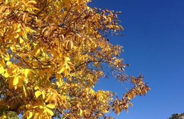 Ciudad Encantada Tio Daniel - Foto 68