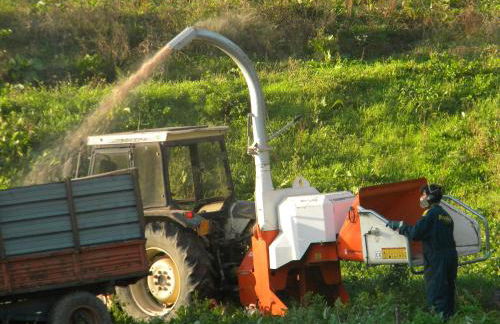 Fattoria Giunasco - Foto 72