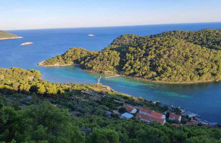 Apartmani Pjevalo-Mljet - Photo 17