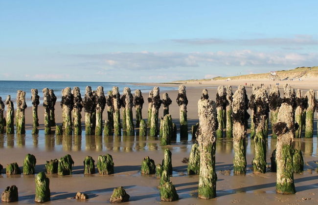 Haus Ruusenhoog - Apartment 6 - Photo 6