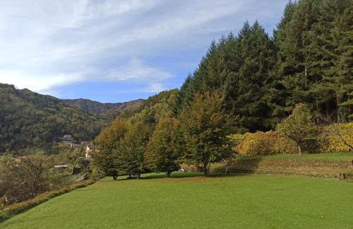 IL Bosco di Campo Marzano Sunlight - Foto 31