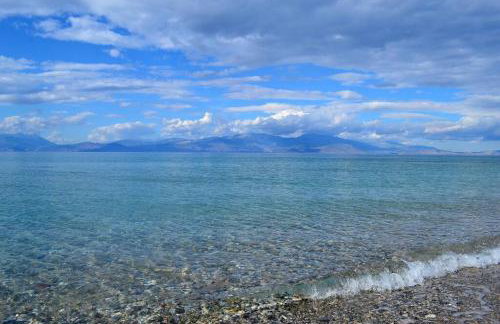 Bright and airy home 50 meters from the beach - Foto 21