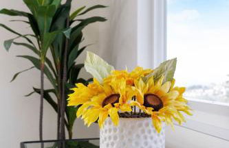 Oceanview Sunset View 3BR Luxe Home Yard - Foto 7