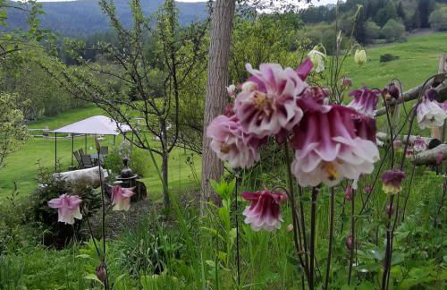 CleMaison Antica Dimora Apartments CIR VDA GIGNOD 0013 - Foto 43