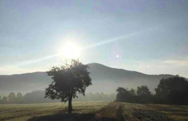 Apartment Ferienregion Bergstraße - Foto 18