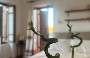 Village House - Foto 1