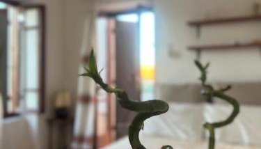 Village House - Foto 1