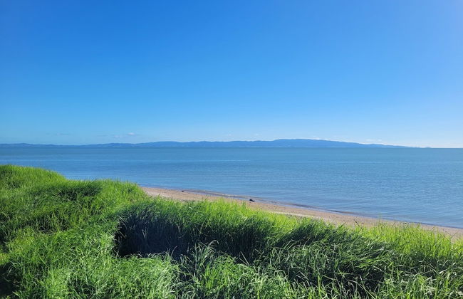 Dickson Holiday Park - Foto 59