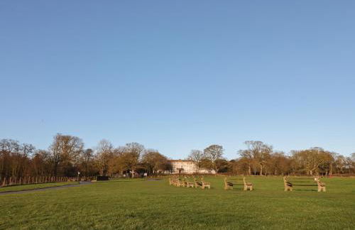 Shell Seeker Cottage - Foto 24