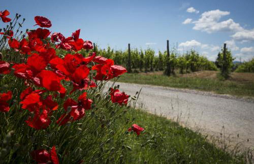 Agriturismo L'isola - Foto 37