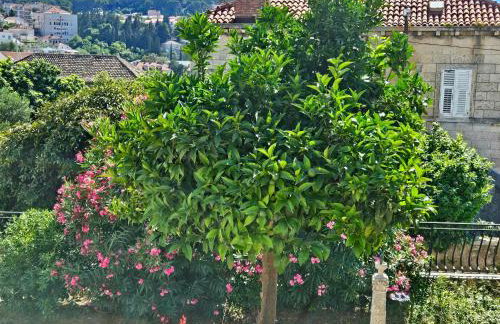 Gruz Holiday Hideaway - Foto 11