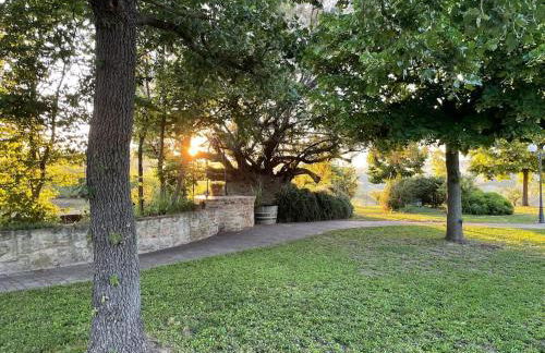 Monte Pagliaio - Foto 30