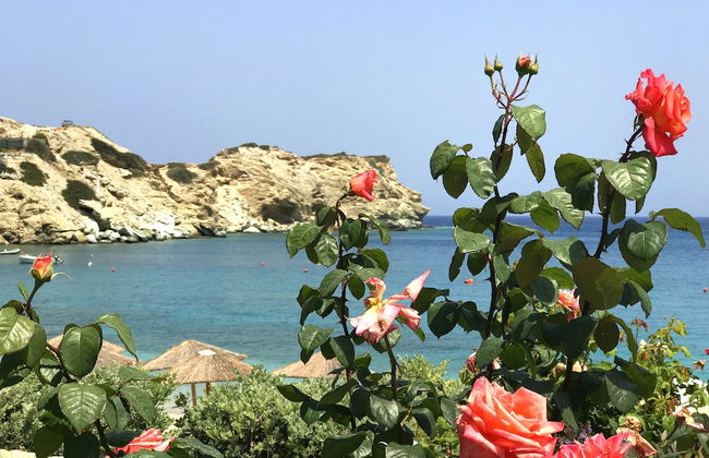 DreamWave Residence - Foto 13