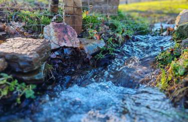 Le Ranch Normand - Foto 43