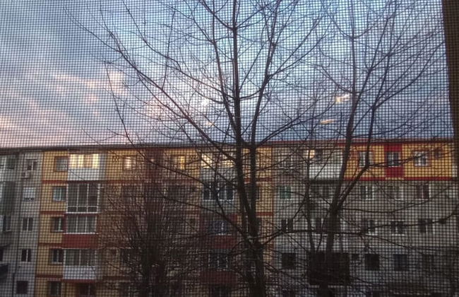 Iosif House RGN Reșița - Photo 14