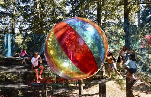 CHARMANT CHALET dans les monts du Forez - Foto 19