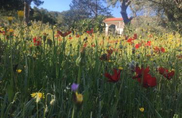 Peach Pine House - Escape Near City, Beach and Athens Airport - Photo 6