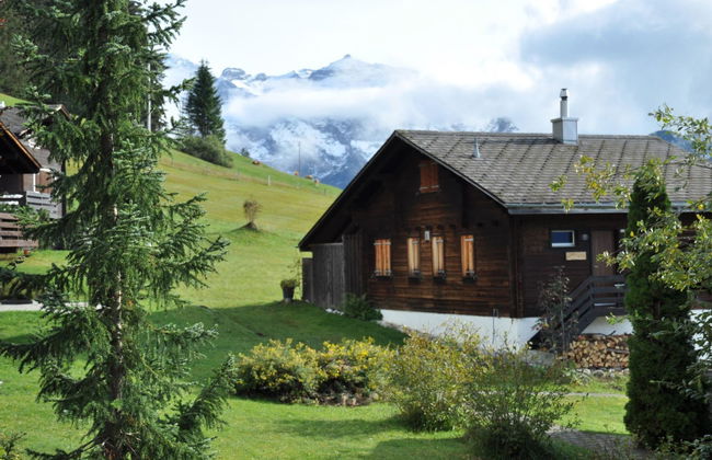 Sumpfbödeli - Foto 3