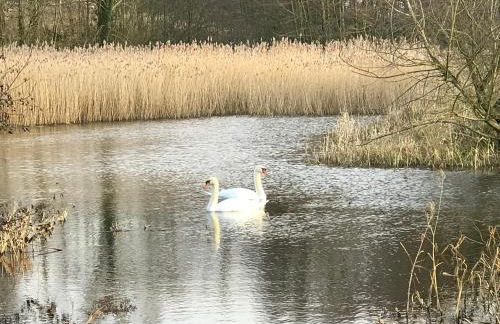 Love Heart Cottage - Foto 24