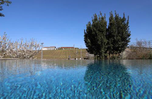 Quinta Vale de Sousa - Douro Valley - Foto 17