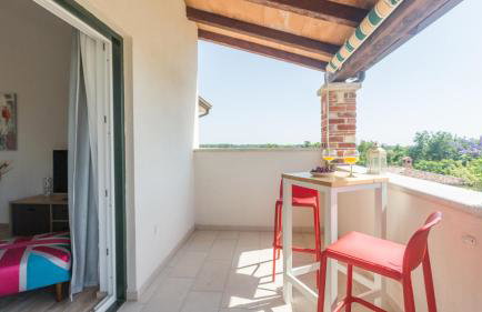 Beautiful villa Pianta with pool in Porec - Photo 29