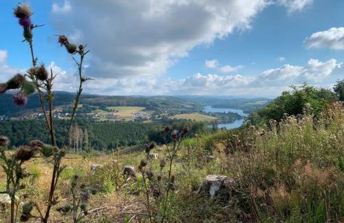 Fewo Allezeit Sauerland - Foto 35